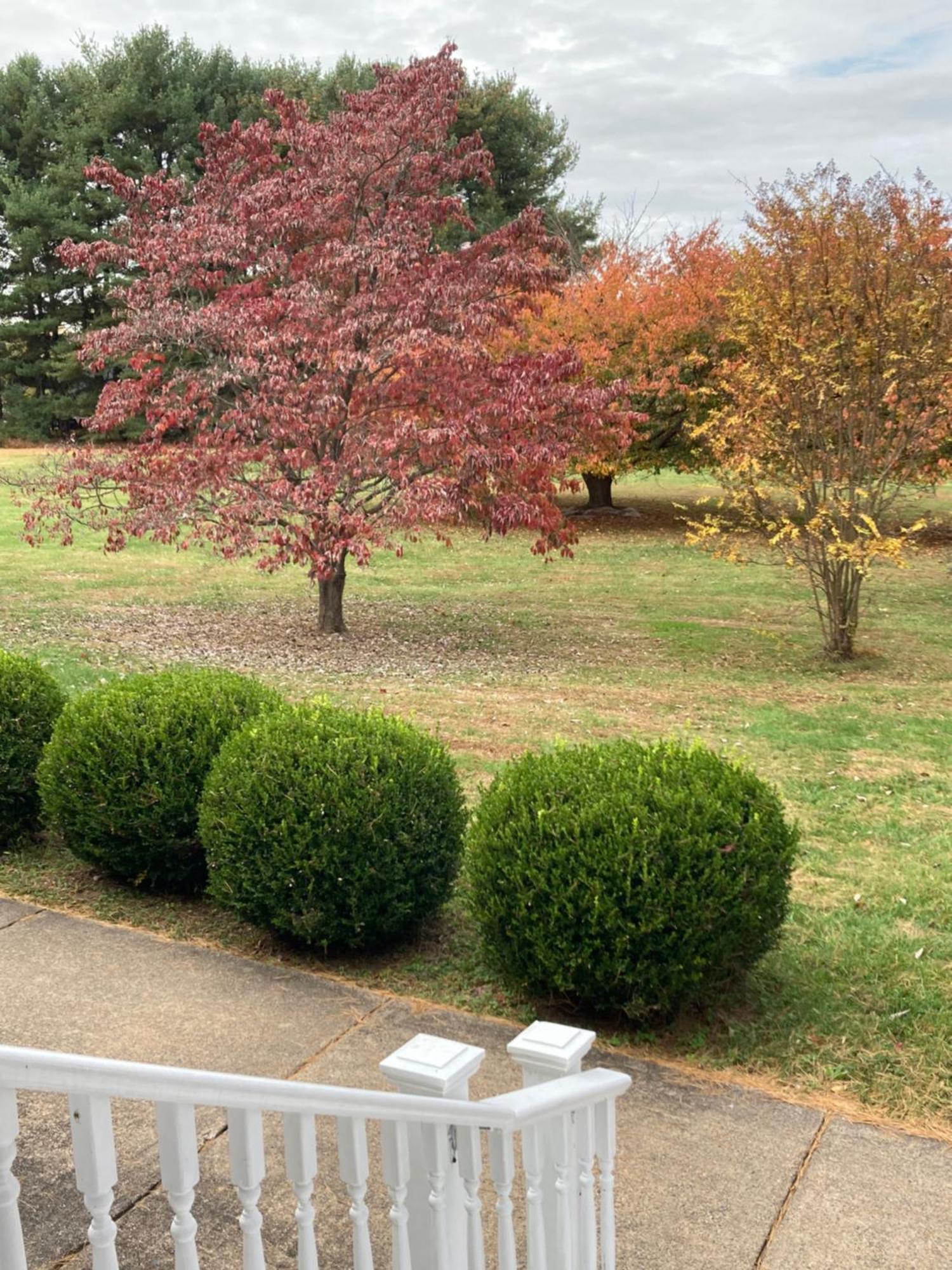 Purcellville Home المظهر الخارجي الصورة