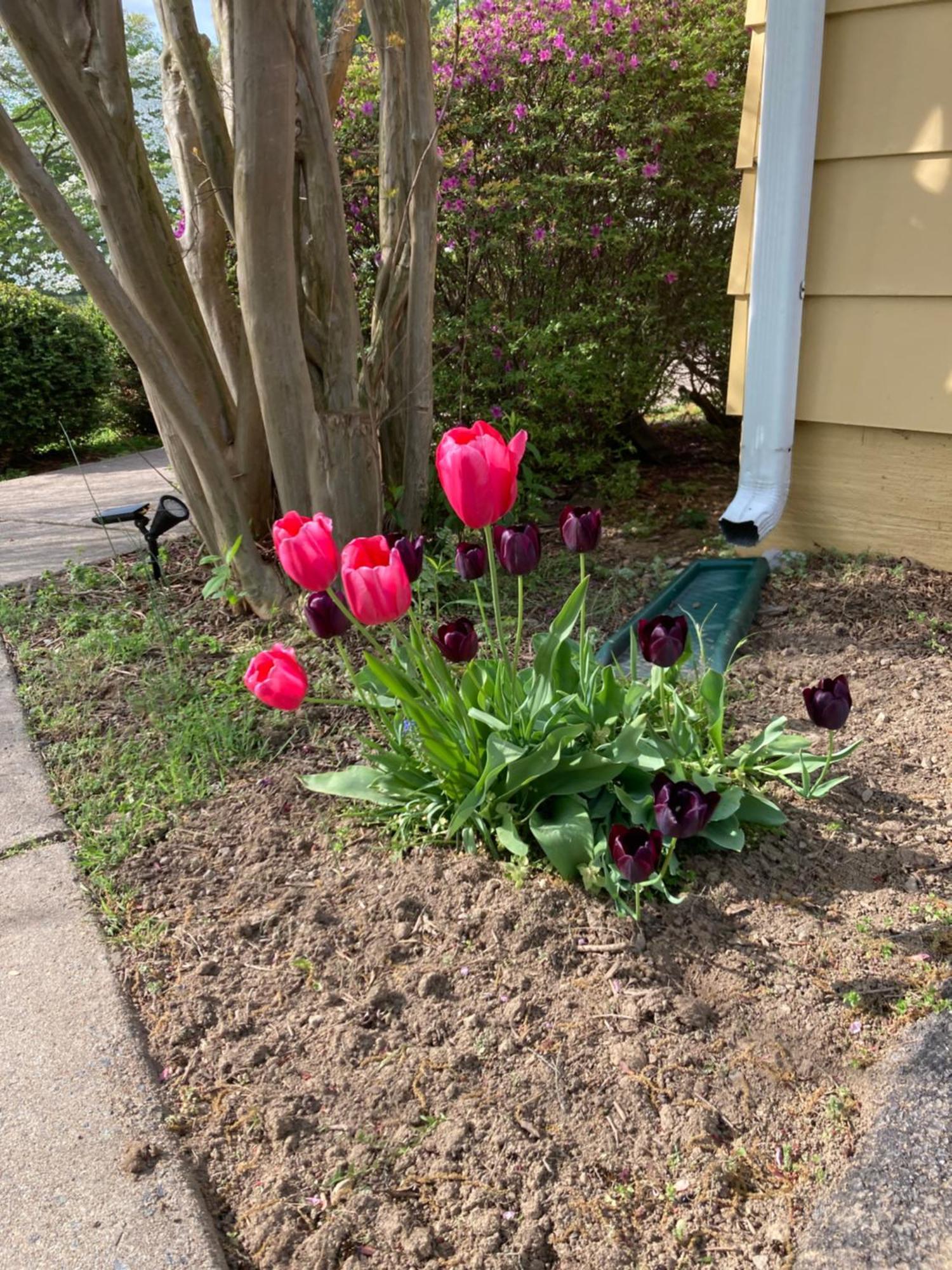 Purcellville Home المظهر الخارجي الصورة