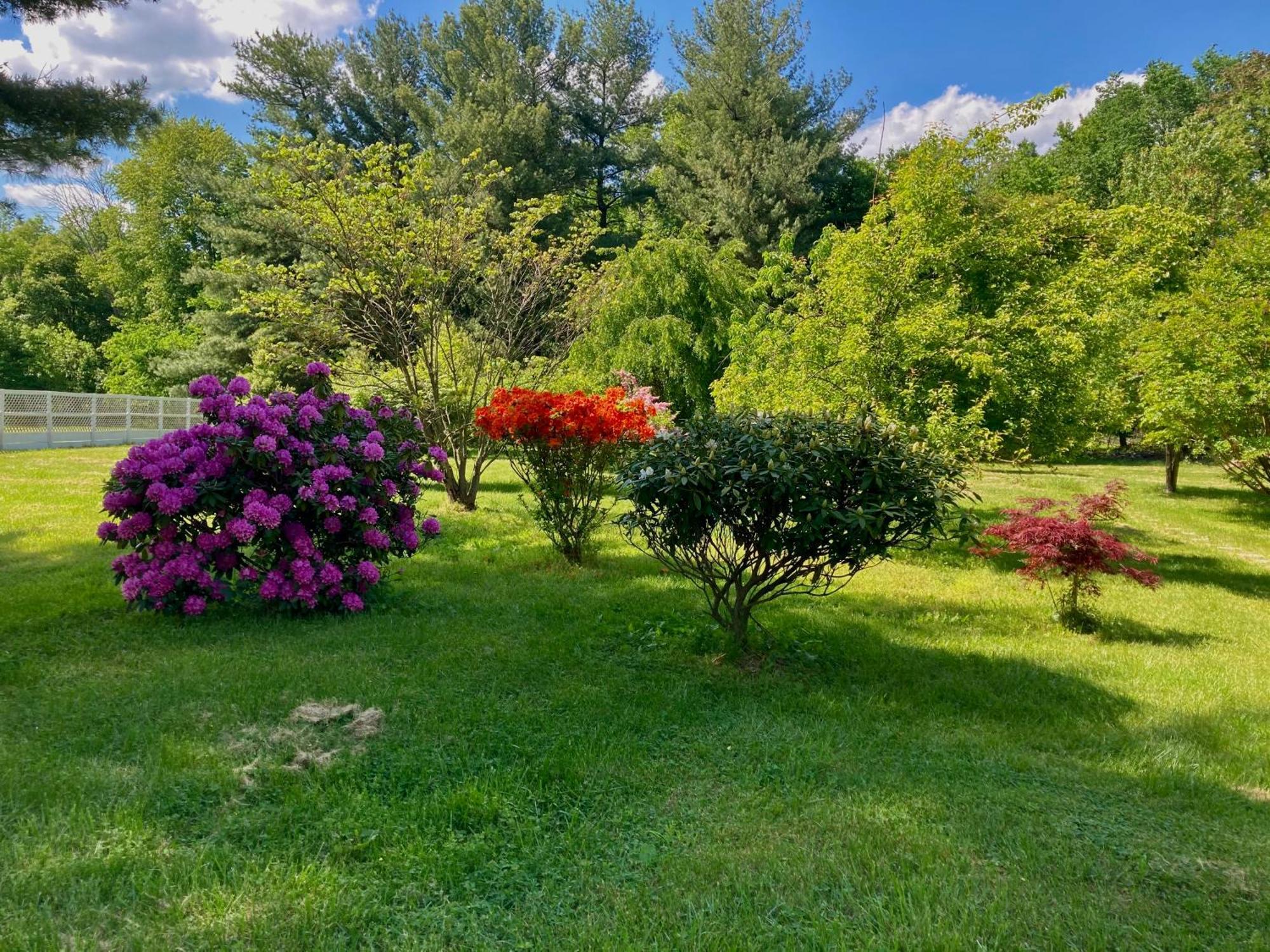 Purcellville Home المظهر الخارجي الصورة