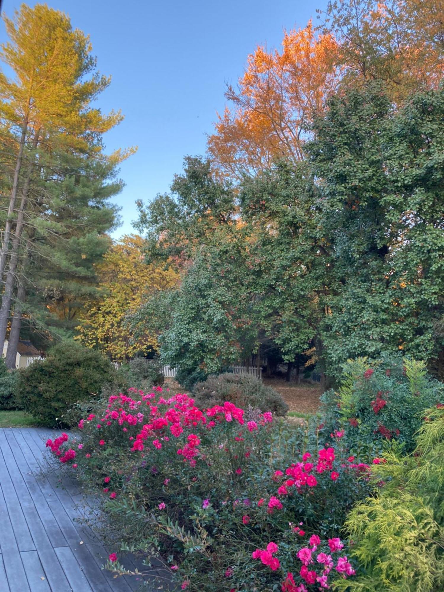Purcellville Home المظهر الخارجي الصورة