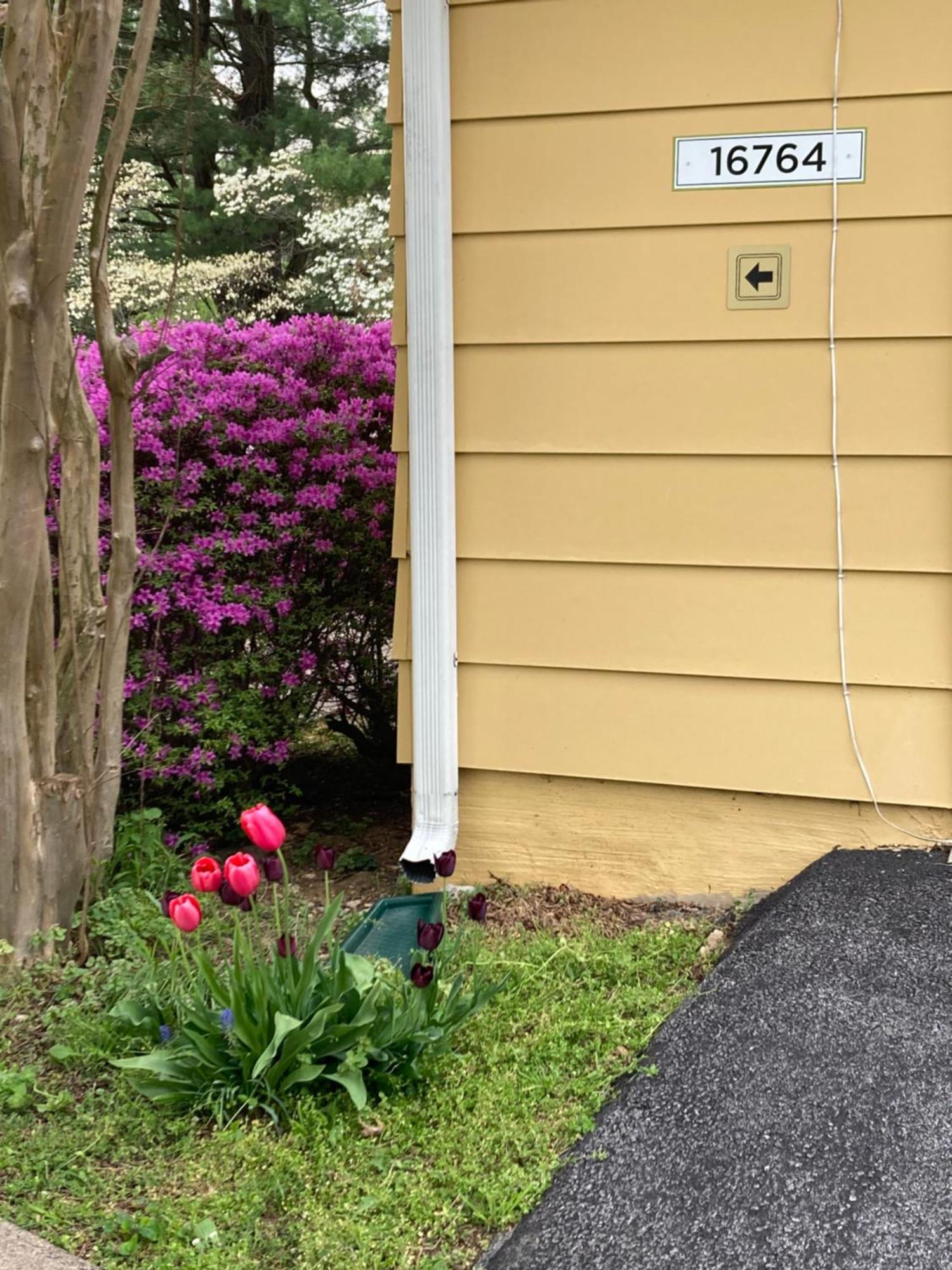 Purcellville Home المظهر الخارجي الصورة